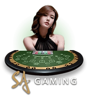 WINTK live casino real dealer baccarat and roulette BD